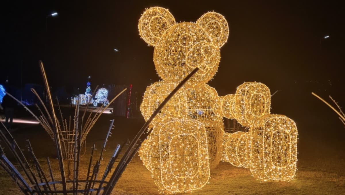 Festival navideño del Parque Ecológico Xochimilco: Precios, fechas y actividades