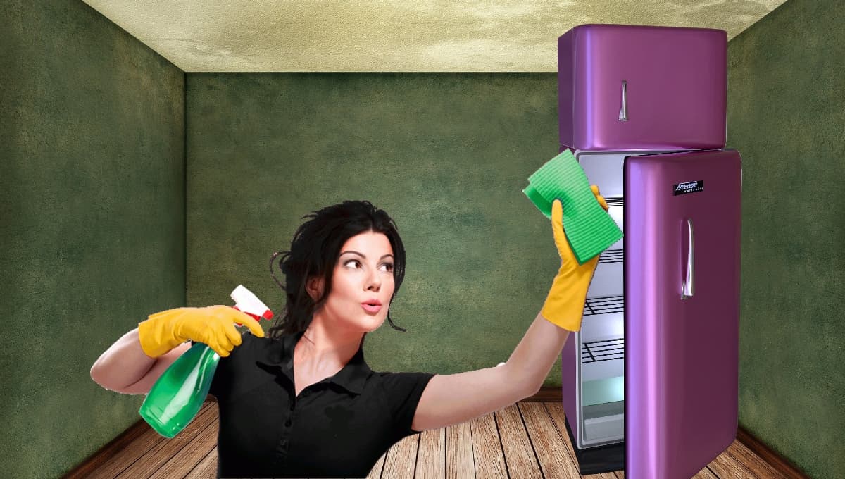 3 trucos naturales para eliminar los malos olores del refrigerador