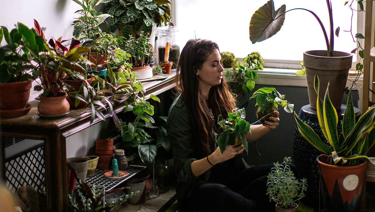 3 trucos para que tus plantas puedan florecer todo el año
