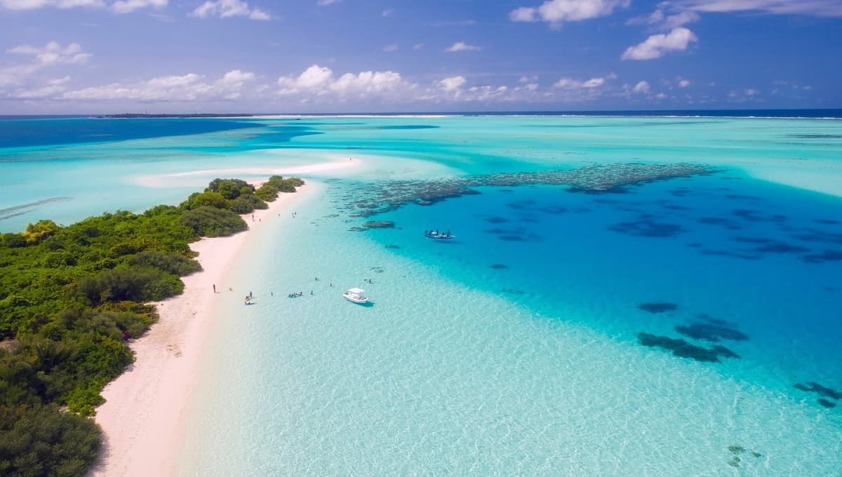 ¿Dónde ir en Semana Santa? Las 5 playas MÁS bonitas de México