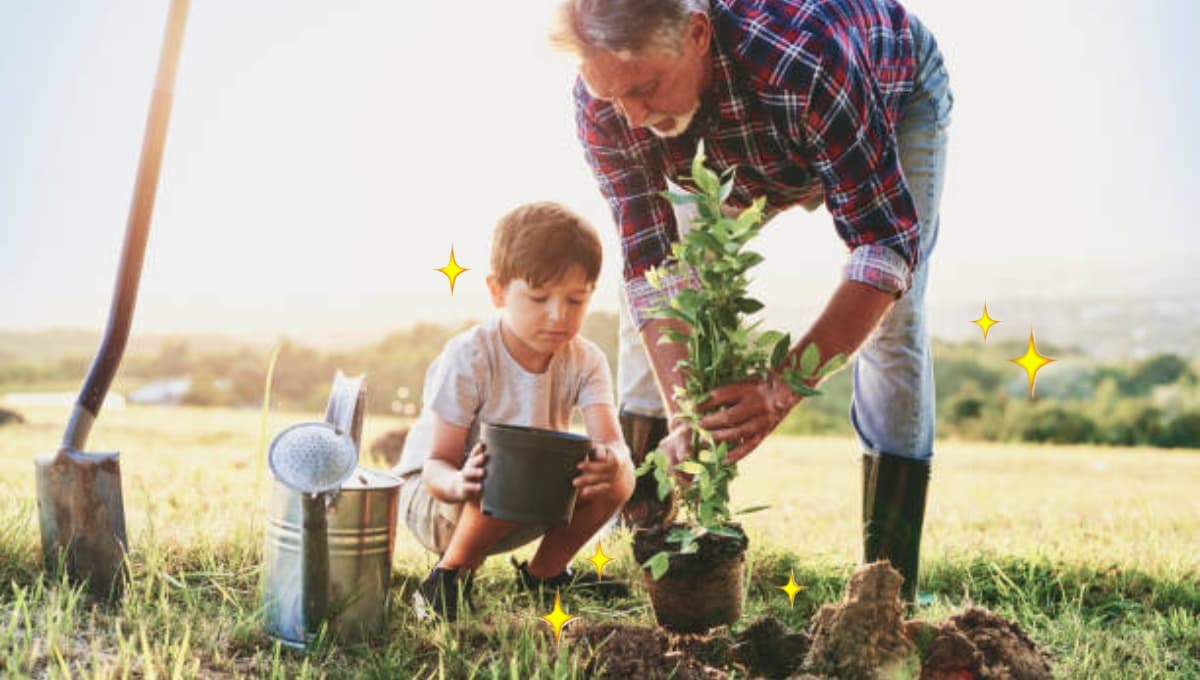 ¿Qué debes saber antes de sembrar un árbol en tu casa?
