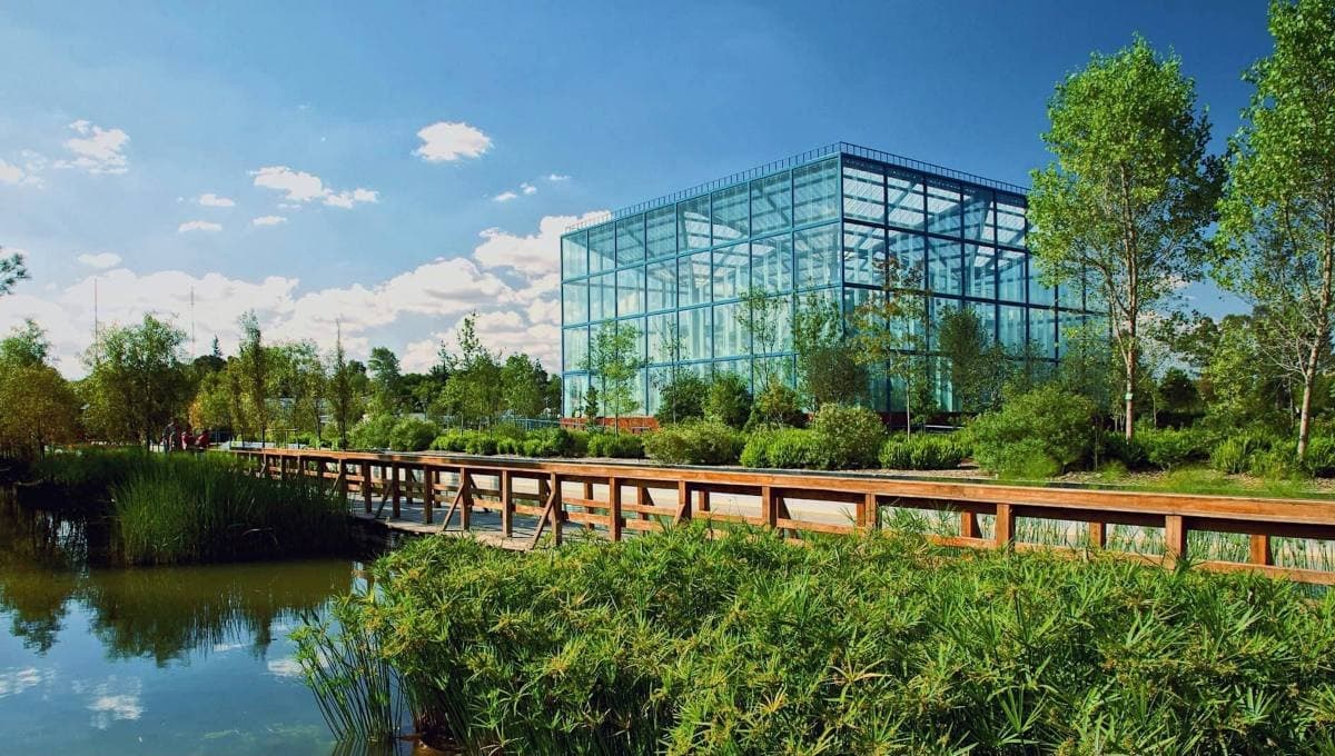 Parque Bicentenario: cómo llegar, cuánto cuesta y qué hacer en este lugar