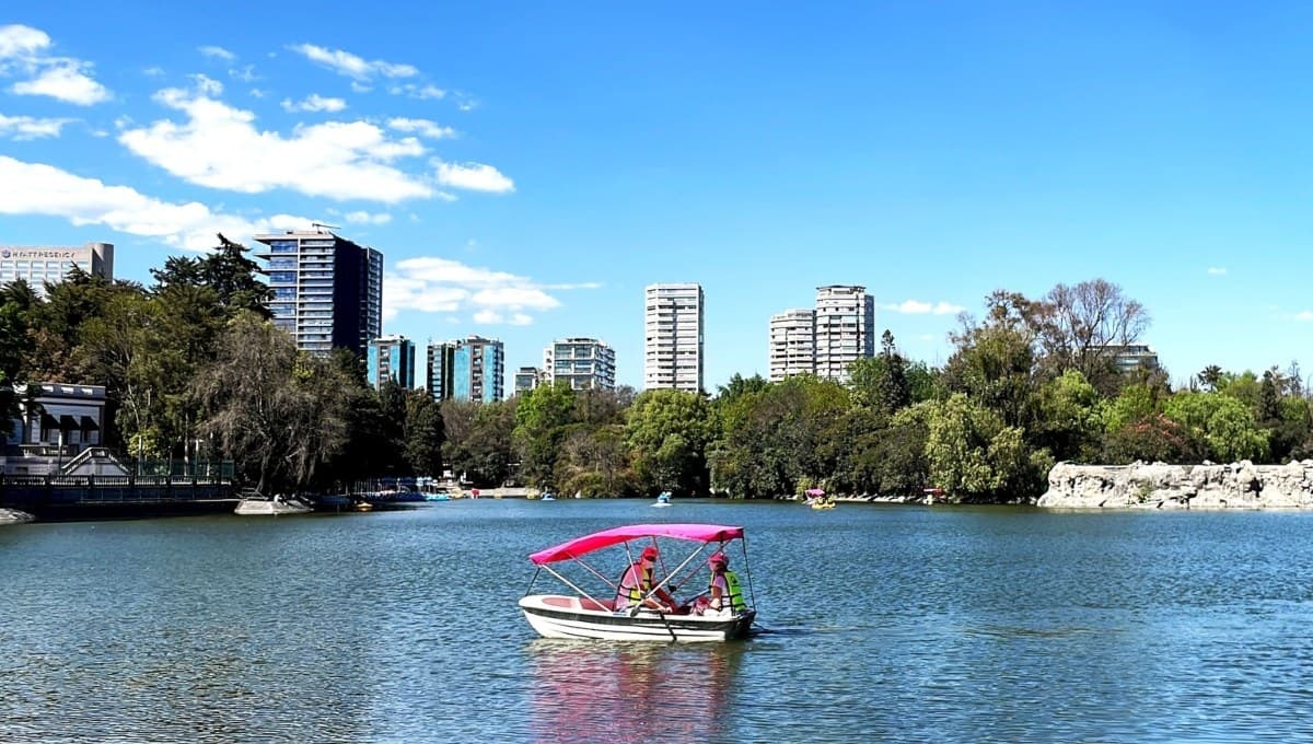 ¿No sabes a dónde salir? 5 lugares baratos para ir en CDMX este fin de semana