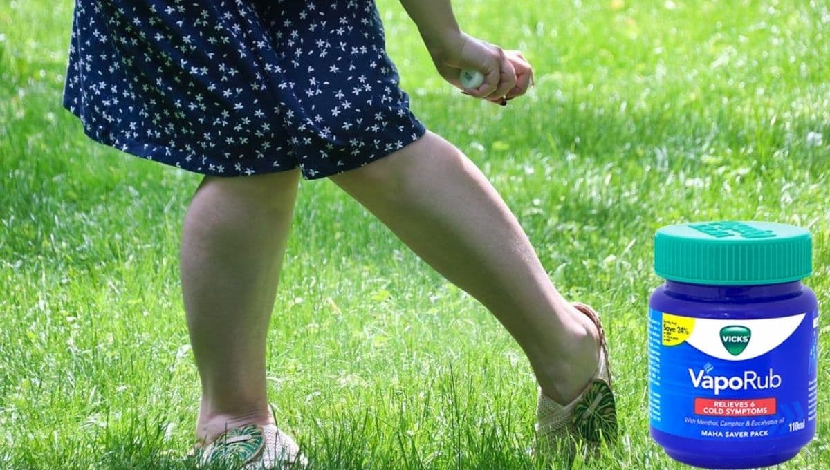 Así puedes usar Vaporub como repelente para mosquitos y chinches