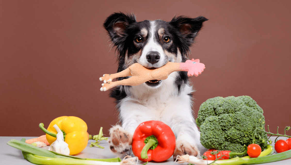 5 verduras que puedes darle de comer a tu perro