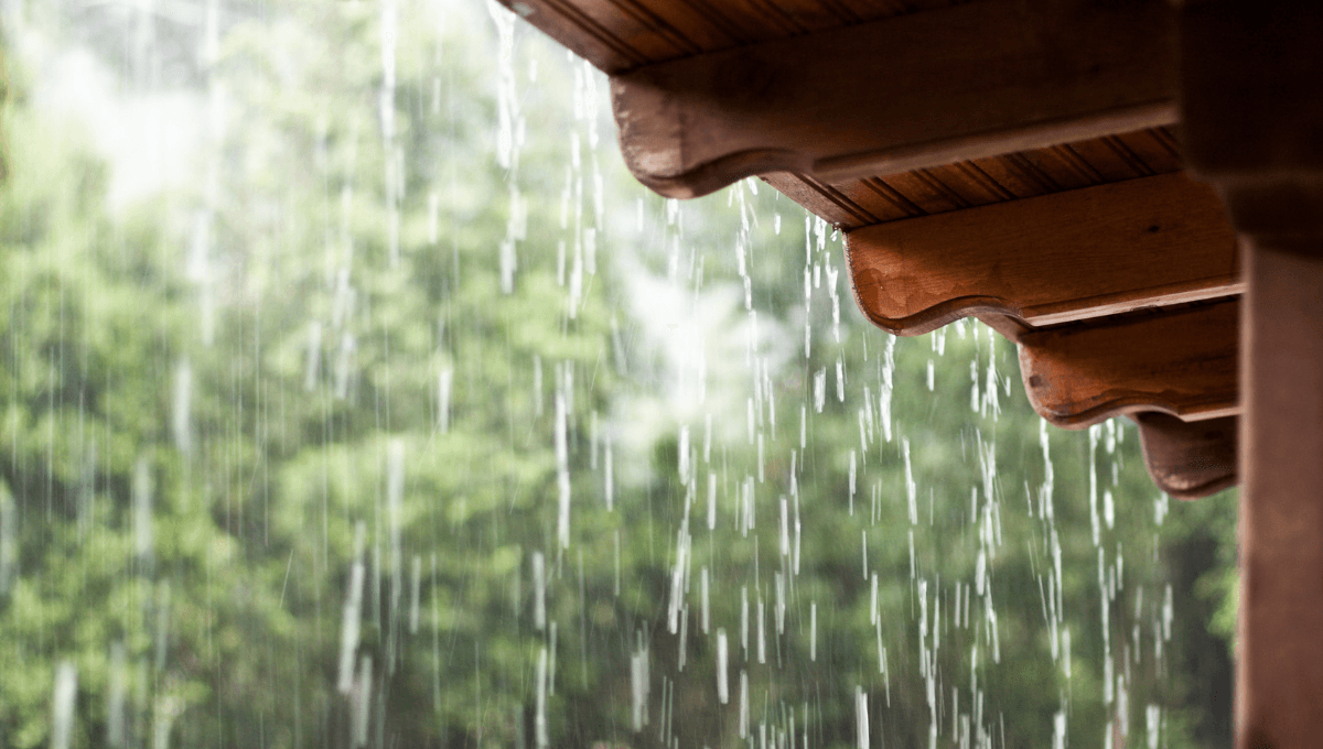 Aprovecha la energía de la lluvia con estos consejos de Feng Shui