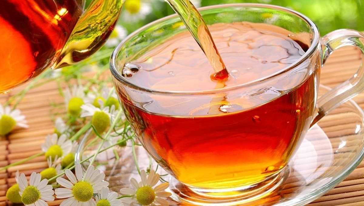 ¿Qué beneficios tiene tomar té de manzanilla en la noche?