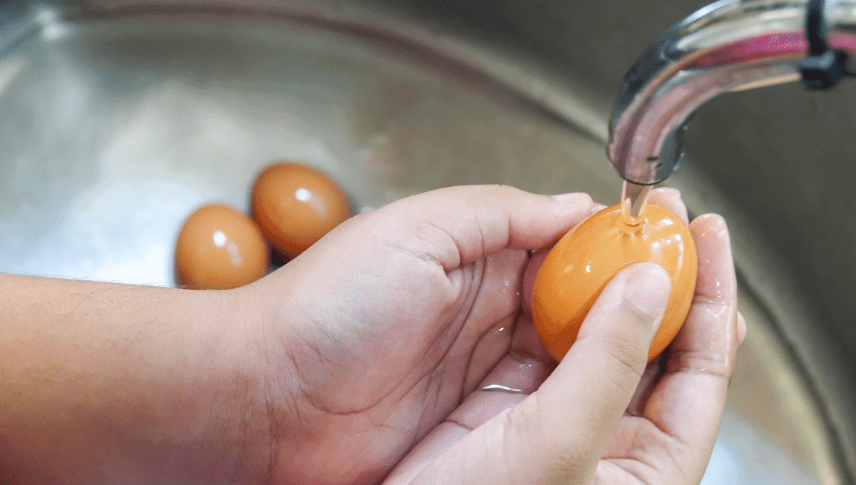 ¿Por qué no debes lavar los huevos?