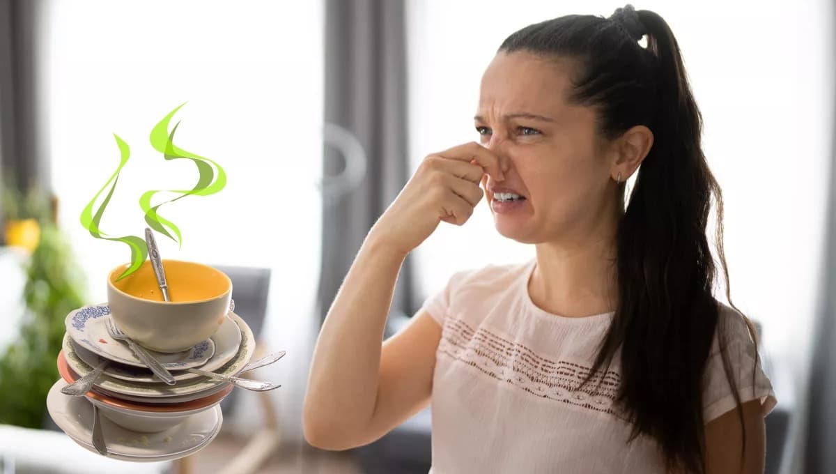 ¿Qué es el olor a choquía o choquiya?
