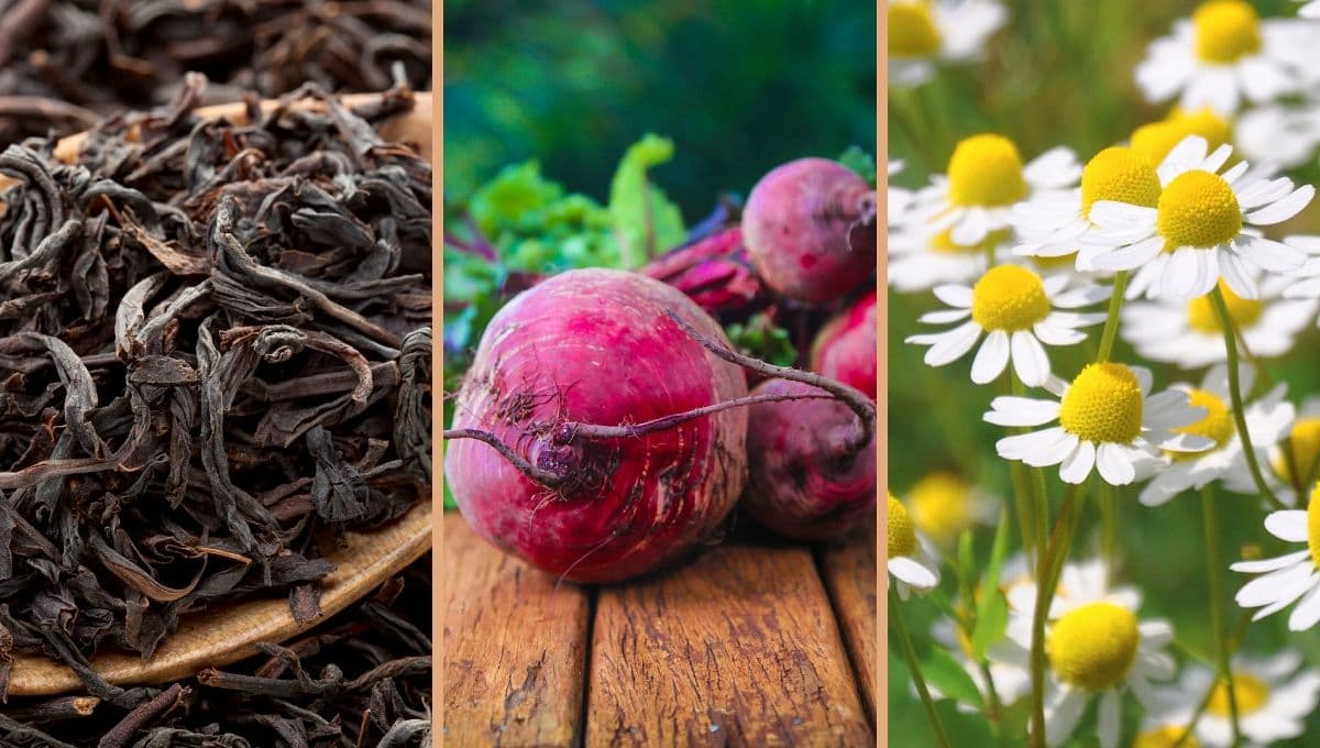 5 tintes naturales que puedes hacer en casa para tapar las canas