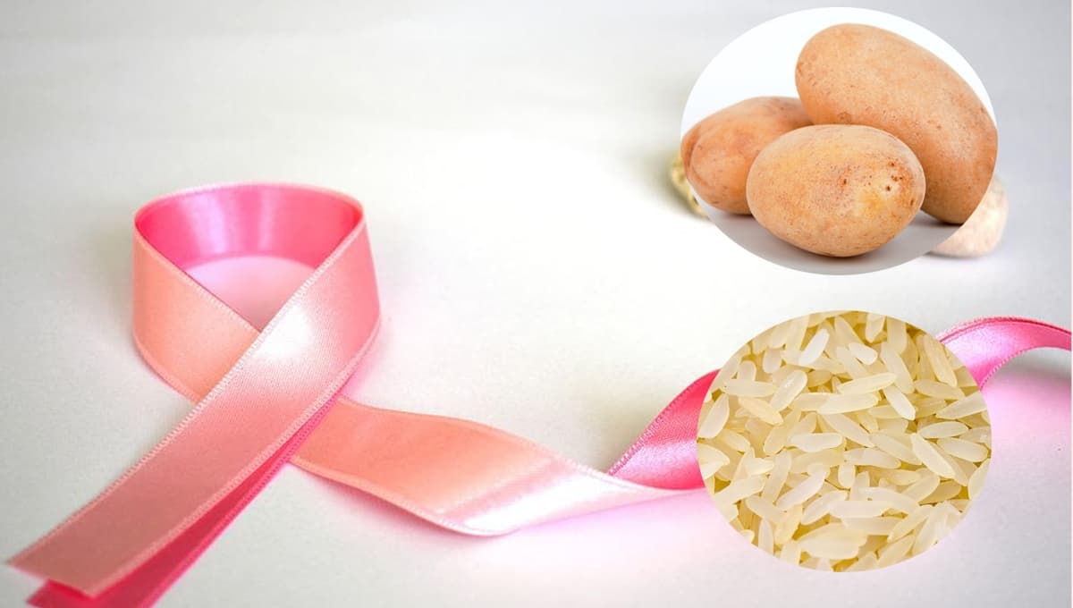 3 tipos de alimentos que pueden aumentar el riesgo de cáncer de mama