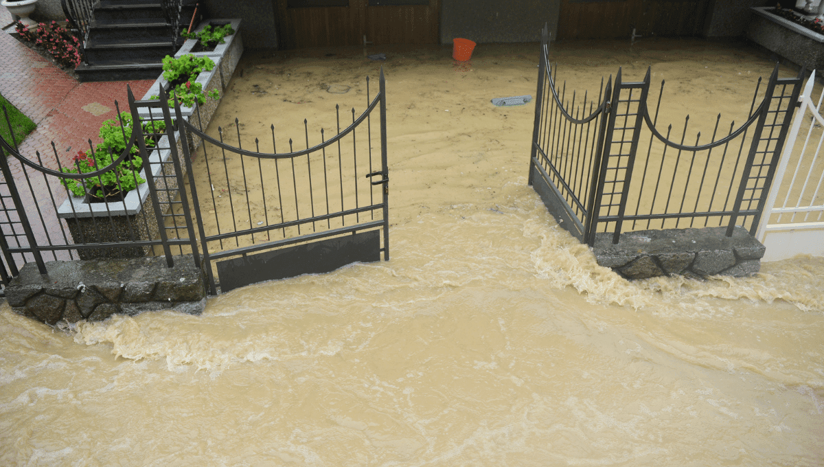 ¿Cómo hacer que mi patio no se inunde por la lluvia?