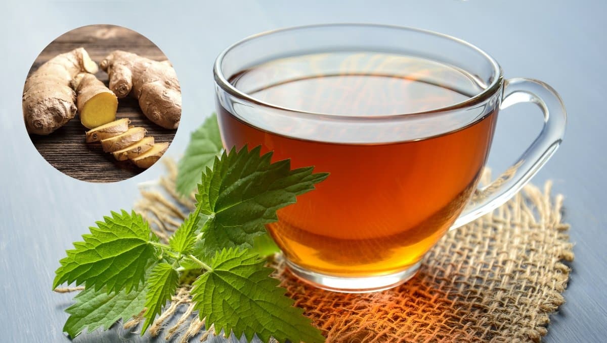 Toma este rico té para dolor de garganta y tos | RECETA