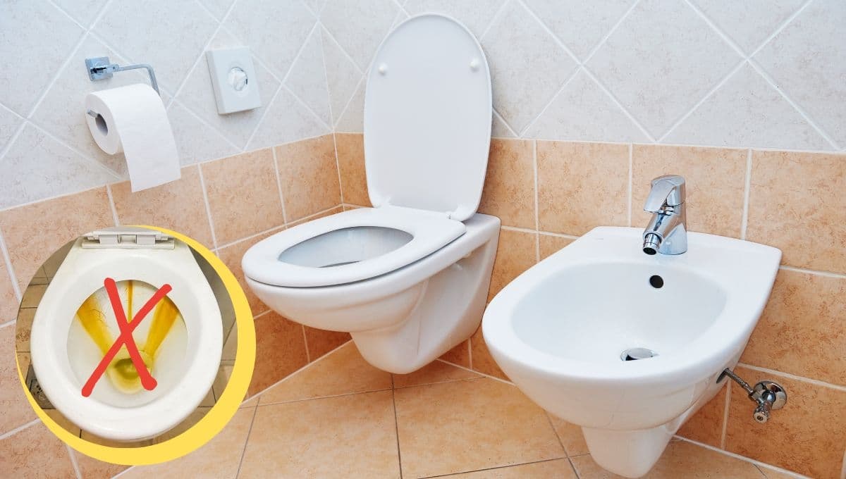 ¿Cómo quitar las manchas amarillas del inodoro? 5 trucos rápidos