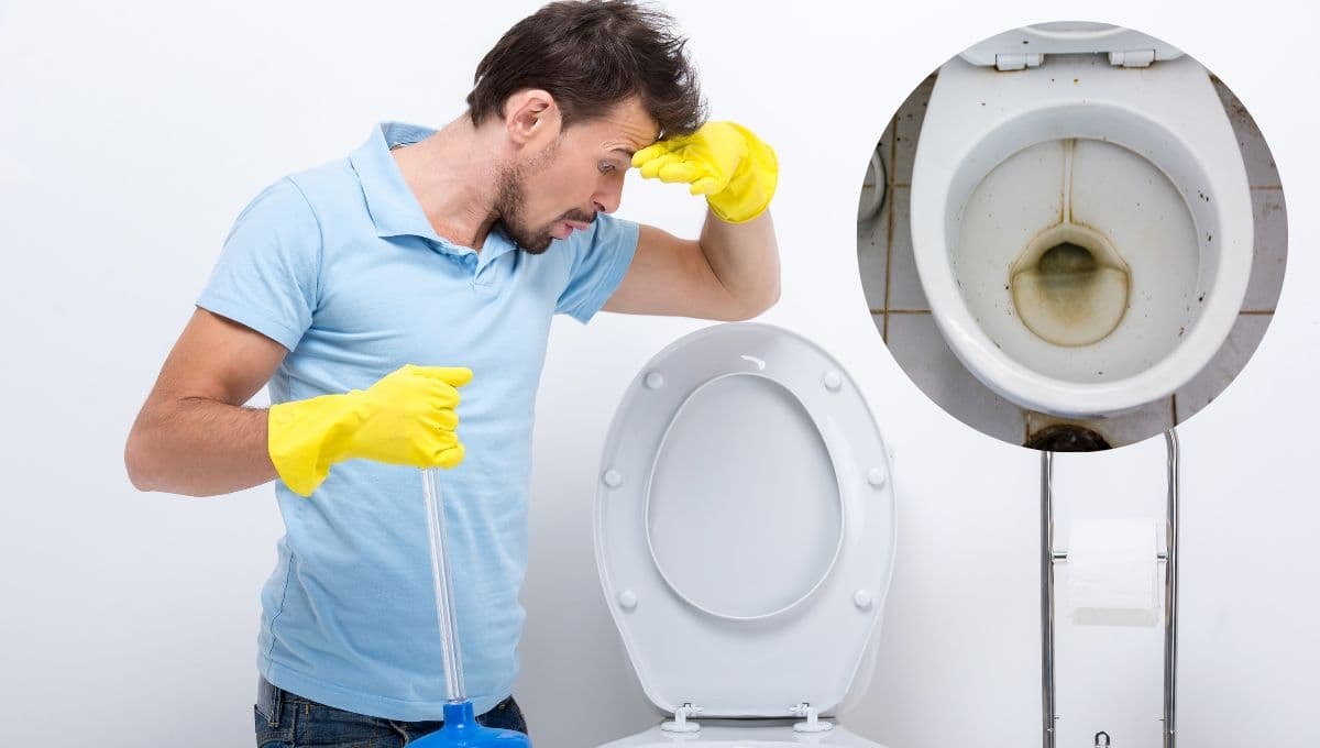 ¿Cómo quitar las manchas cafés de la taza del baño?