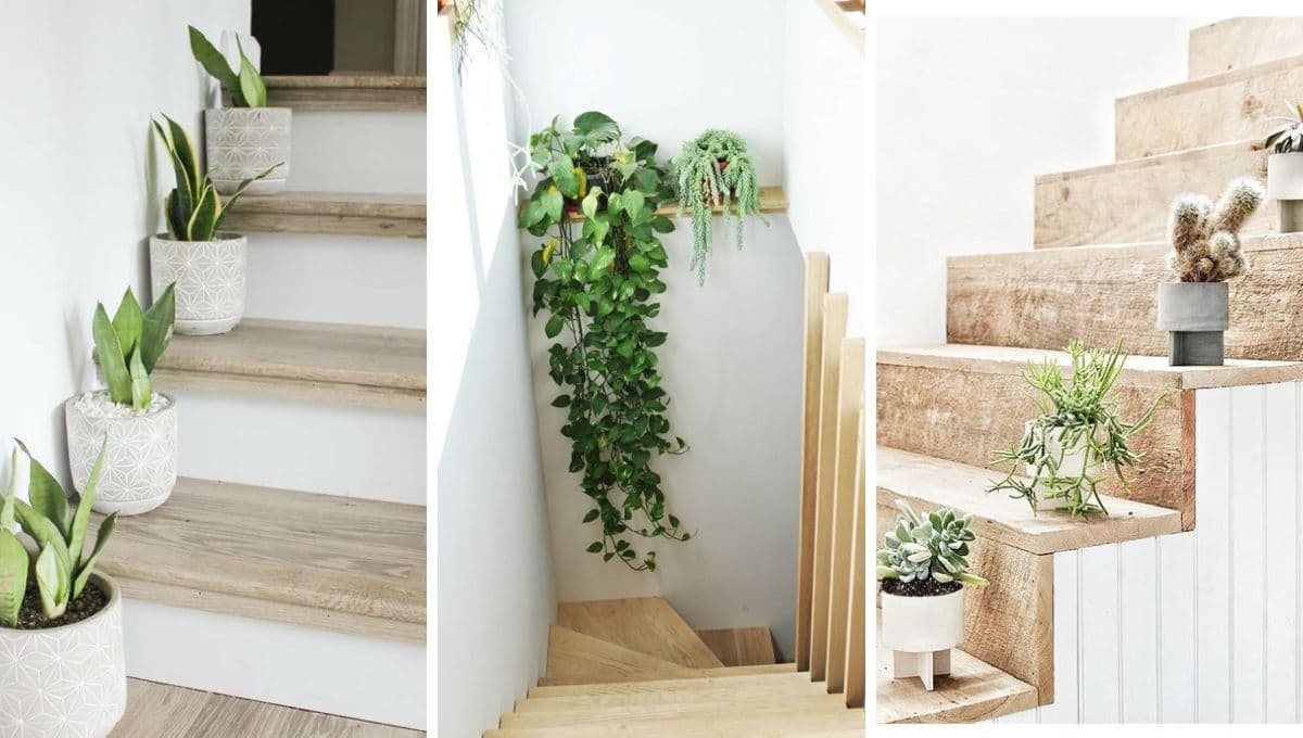 5 ideas para decorar una escalera con plantas