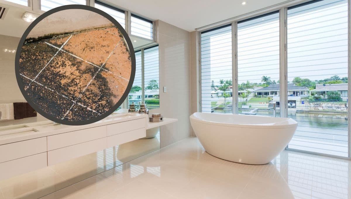 5 trucos para quitar el sarro del piso del baño