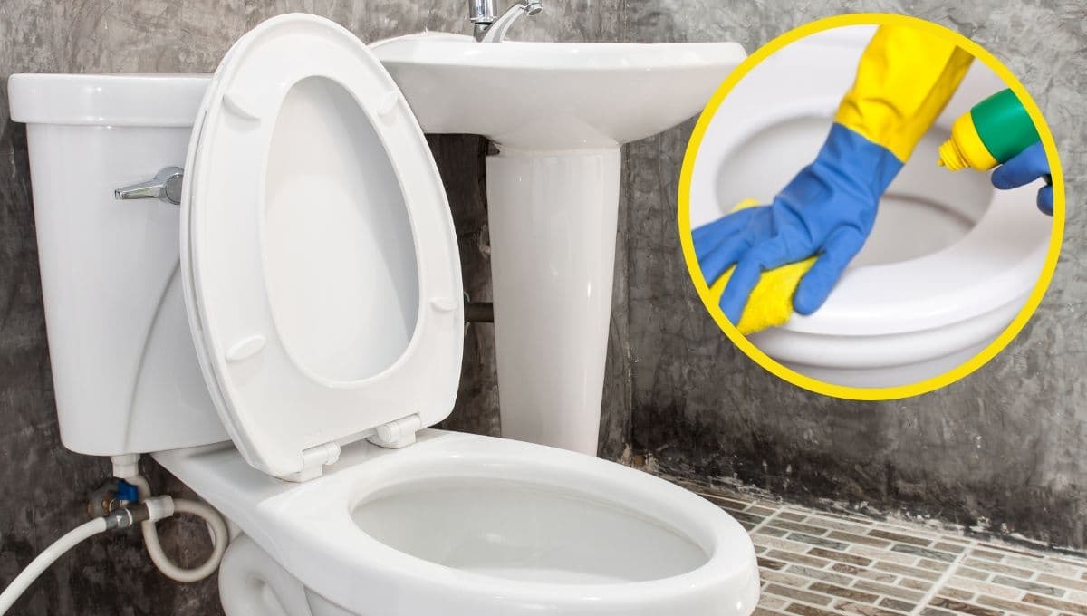¿Cómo limpiar el sarro y la línea amarilla de la taza del baño?