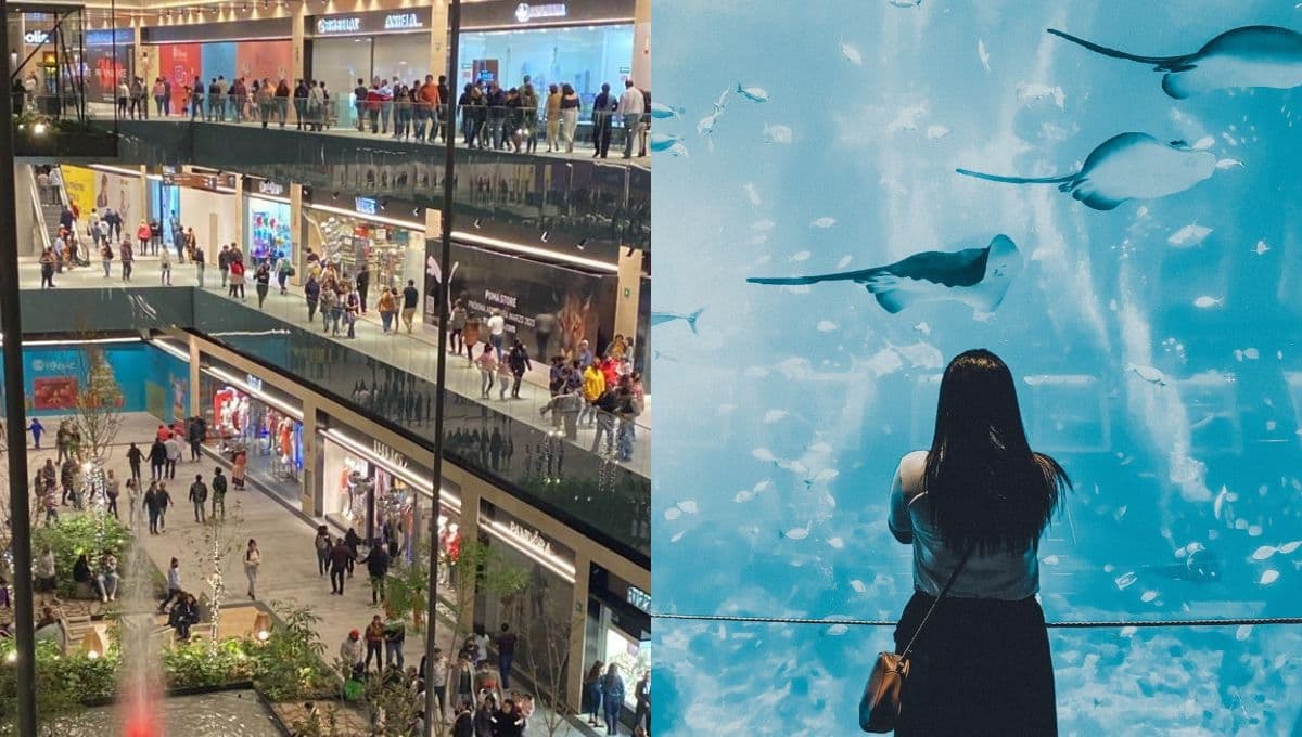 Visita Parque Tepeyac, la plaza con el acuario más grande de Latinoamérica en CDMX