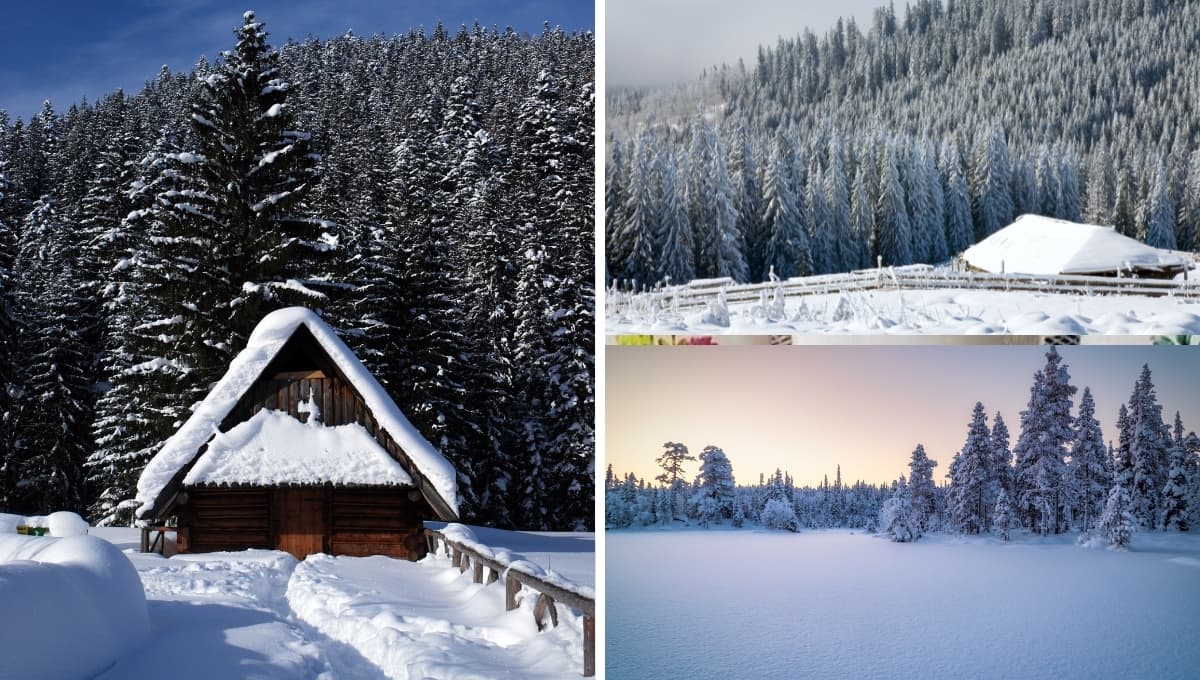 3 lugares donde se puede ver nieve en México para disfrutar Navidad y Año Nuevo