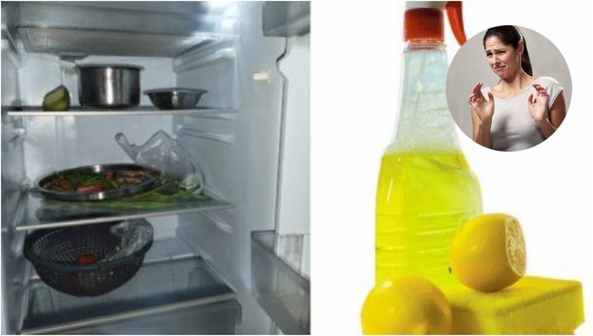 ¿Por qué la comida sabe a refrigerador y cómo quitar ese sabor?