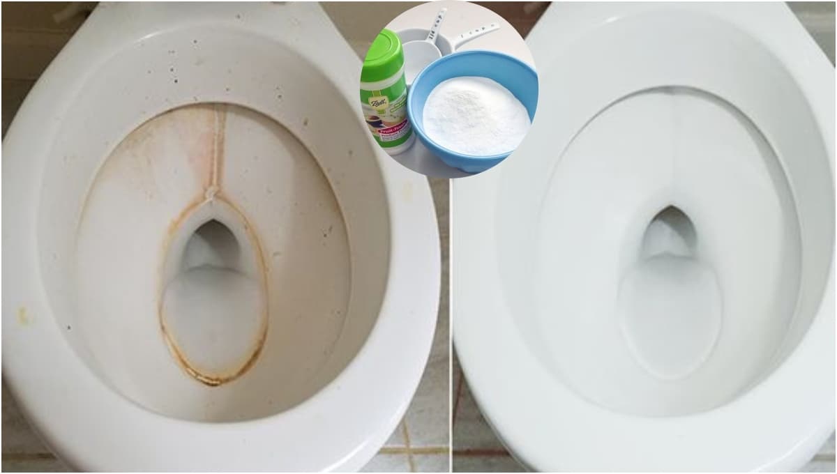 ¿Cómo quitar el círculo amarillo del inodoro?