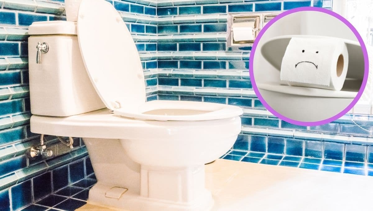 5 cosas que no debes tirar en la taza del baño por nada del mundo
