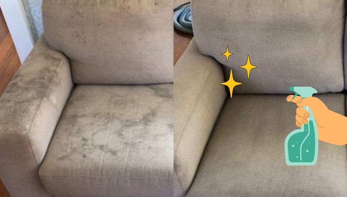 2 trucos para quitar manchas de humedad en un sofá de tela muy sucio