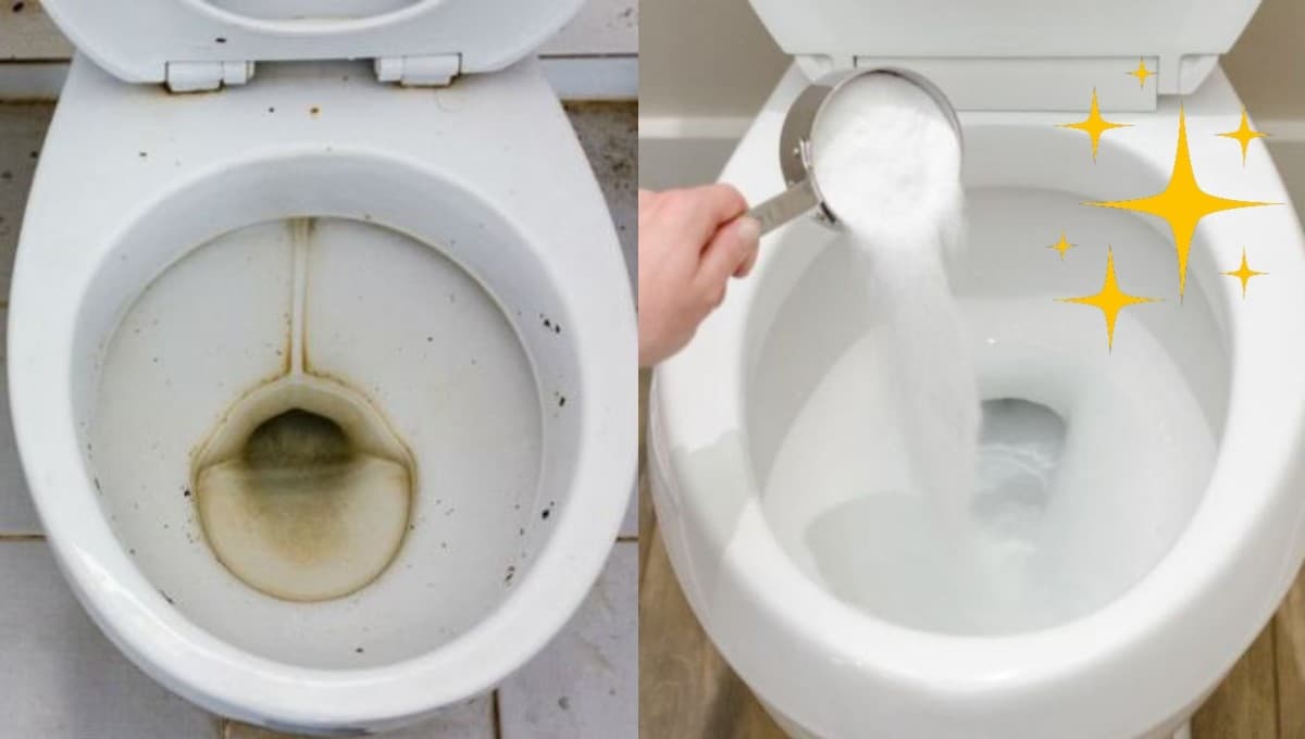 2 trucos para quitar el sarro del inodoro y la terrible línea amarilla