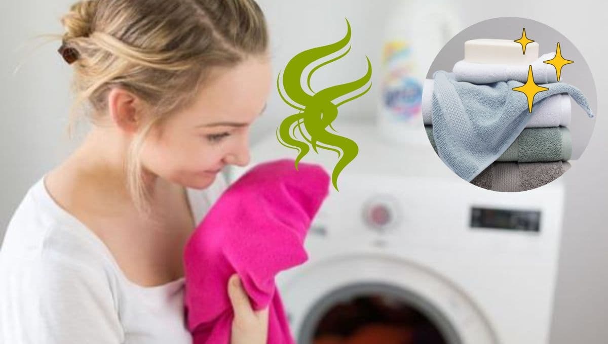 Quita el olor a humedad de la ropa guardada con ESTE ingrediente casero