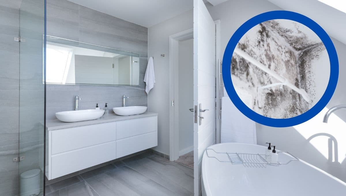 3 productos caseros que eliminan el moho negro del baño