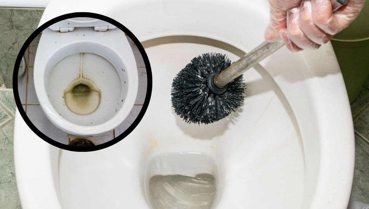 ¿Cómo quitar manchas negras en el inodoro?