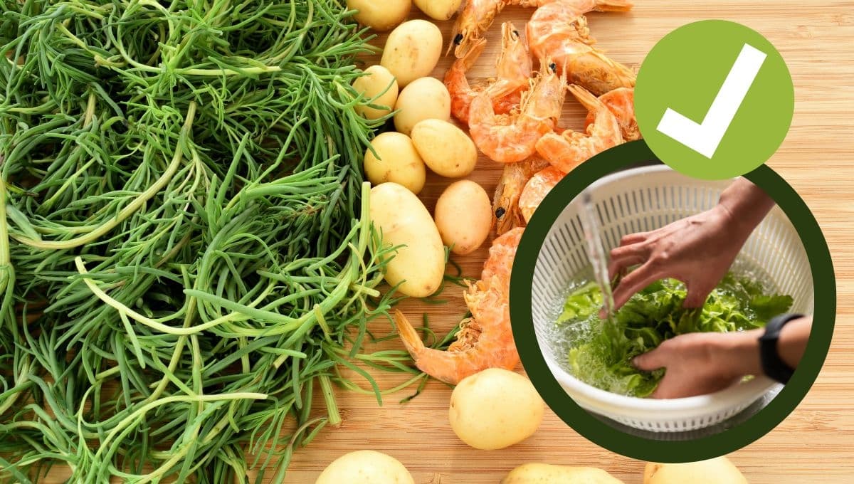 ¿Cómo limpiar romeritos de forma correcta y fácil?