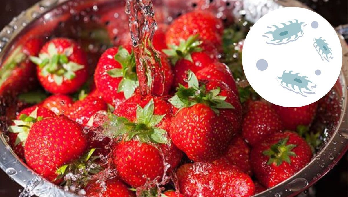 ¿Cuál es la manera correcta de lavar fresas y desinfectarlas?
