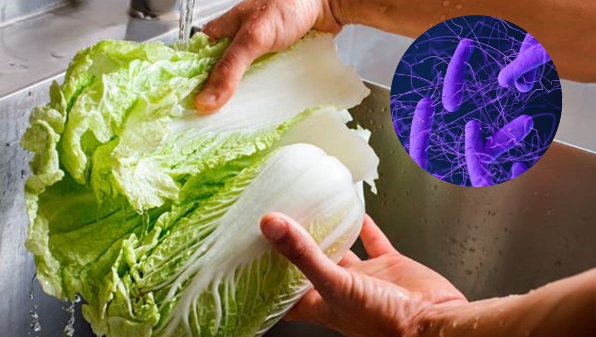 ¿Cómo desinfectar lechuga sin desinfectante?
