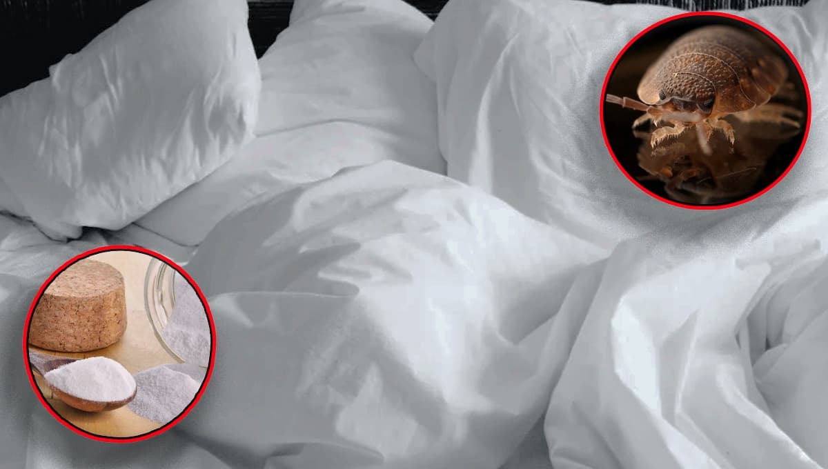 ¿Cómo eliminar los ácaros de la cama con bicarbonato?