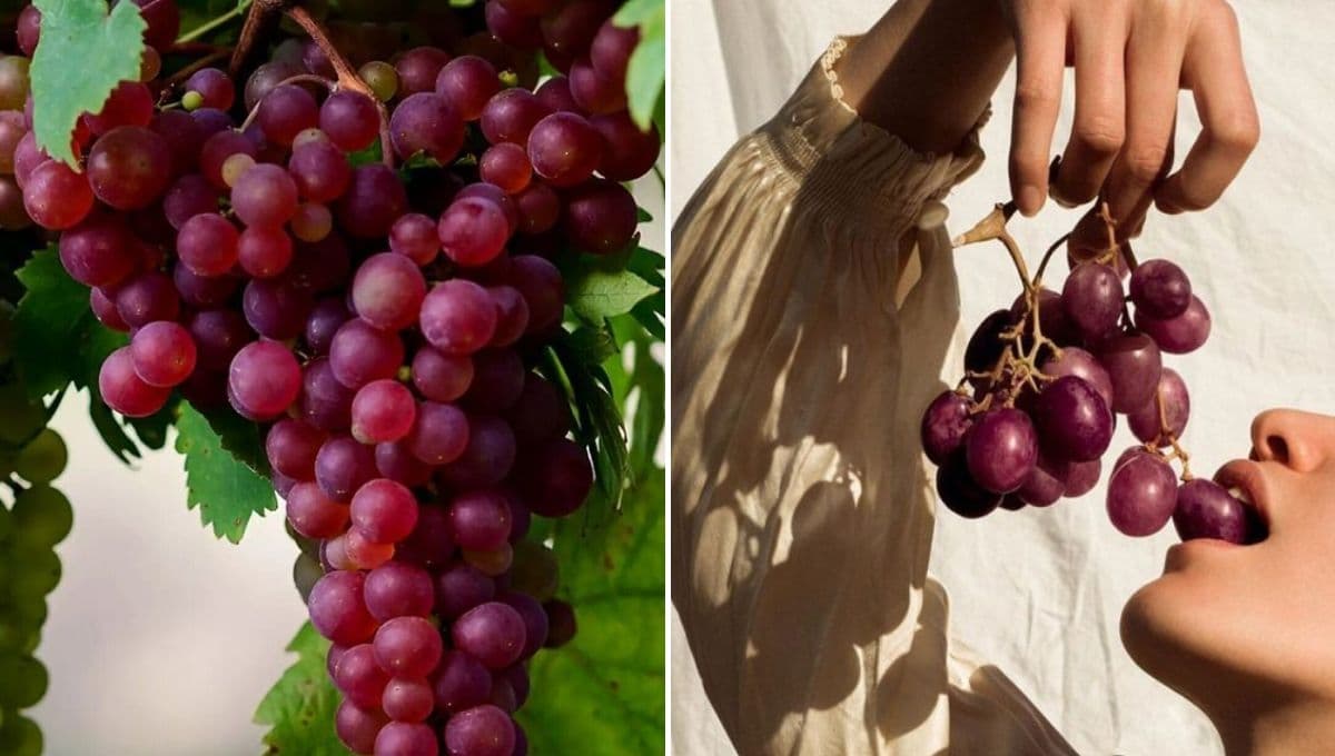 ¿Qué pasa si me como un kilo de uvas?