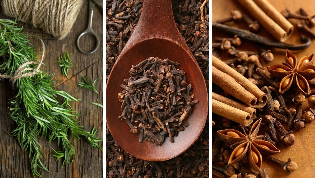 3 ingredientes que debes ponerle a tu shampoo para que tu cabello crezca rápido