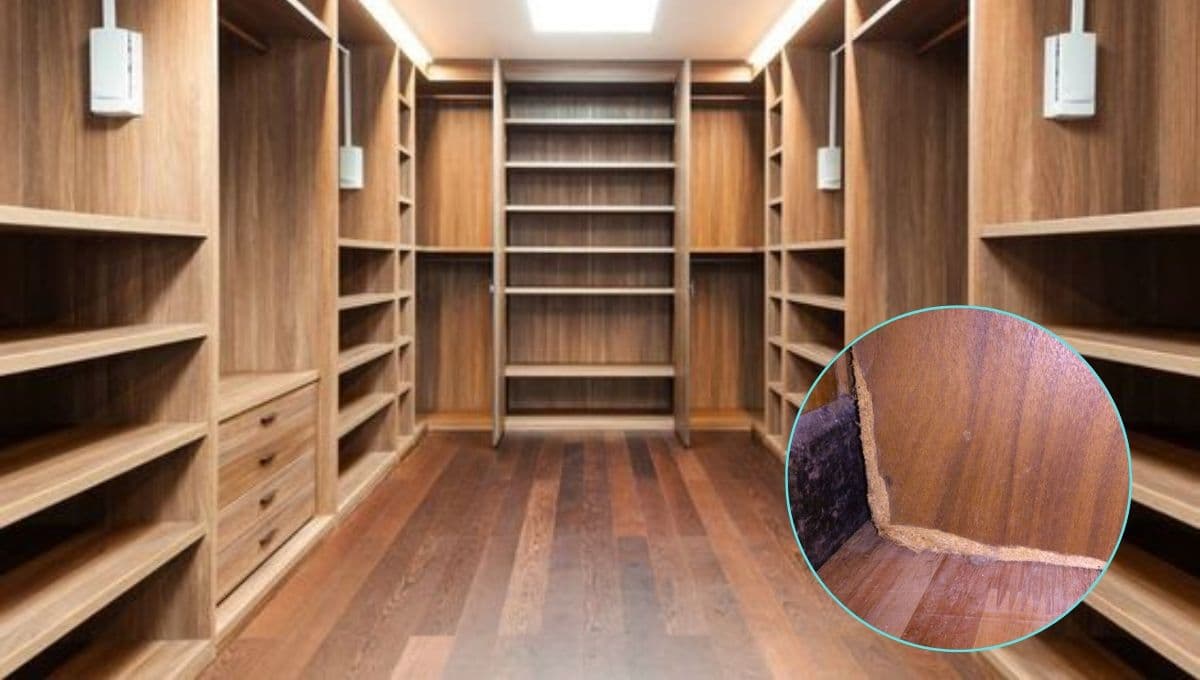¿Cómo limpiar la humedad de la madera?