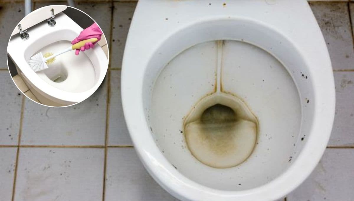 ¿Cómo dejar el inodoro blanco?