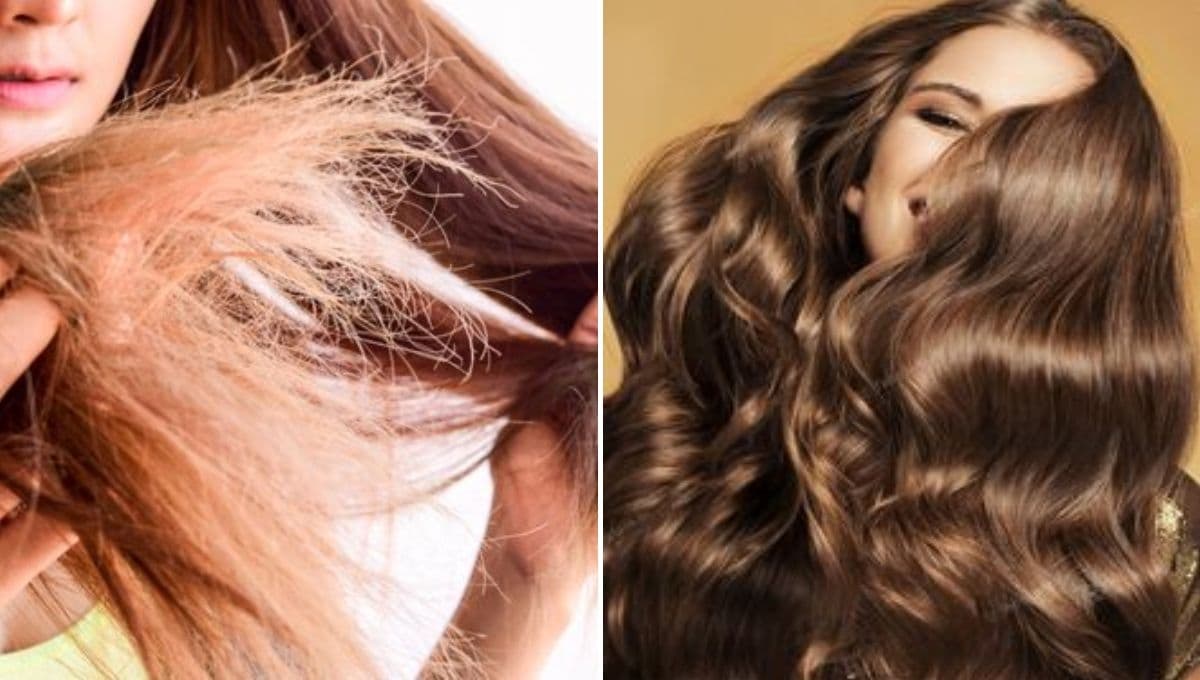 Esta mascarilla casera es ideal para recuperar el cabello quebrado