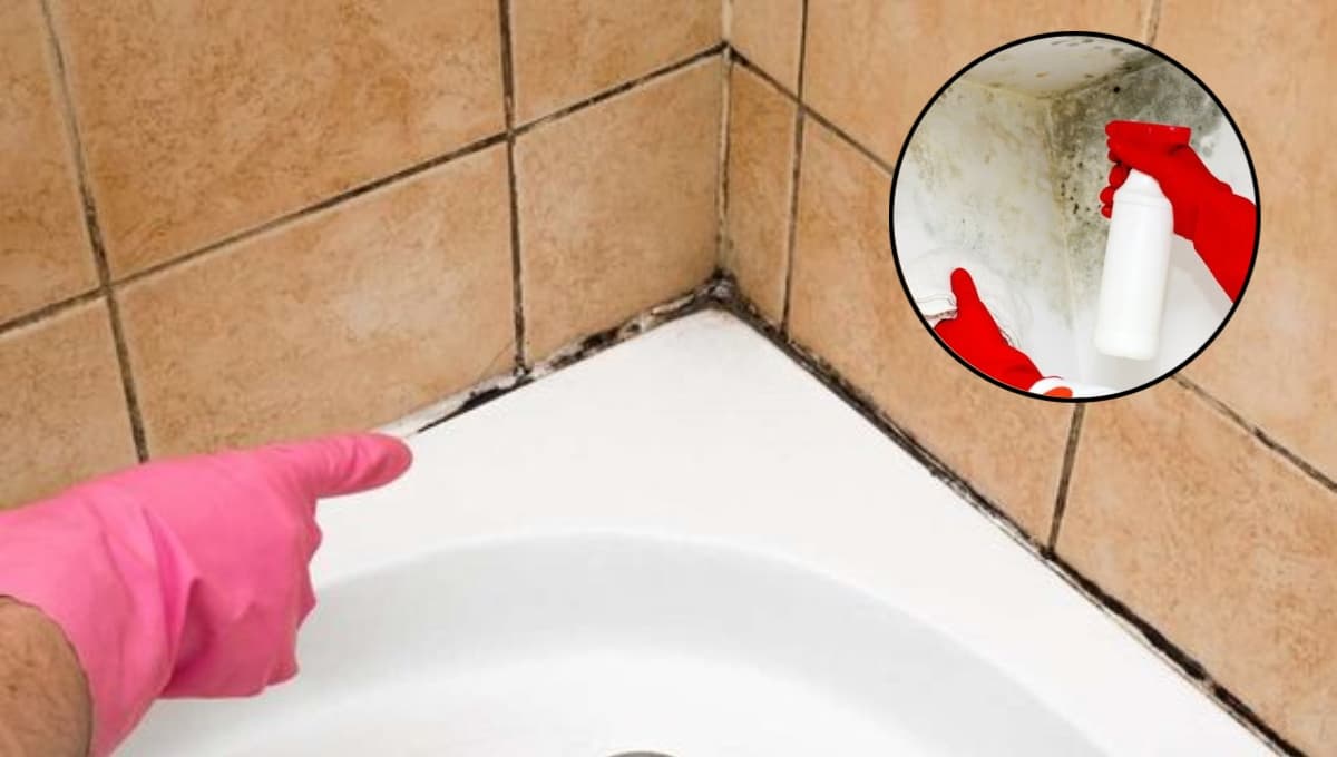 ¿Cómo eliminar el moho del sanitario con lejía?