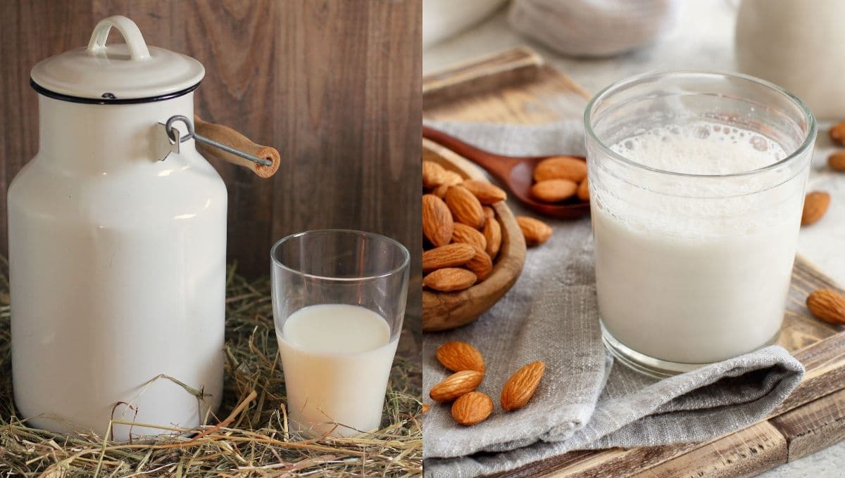 Leche de vaca vs leche de almendras: ¿cuáles son sus diferencias?