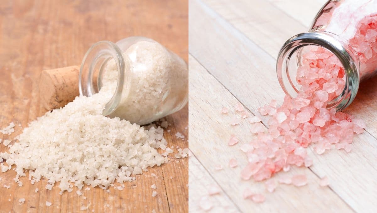 Sal común o sal del Himalaya: ¿cuáles son sus diferencias y cómo usarlas al cocinar?