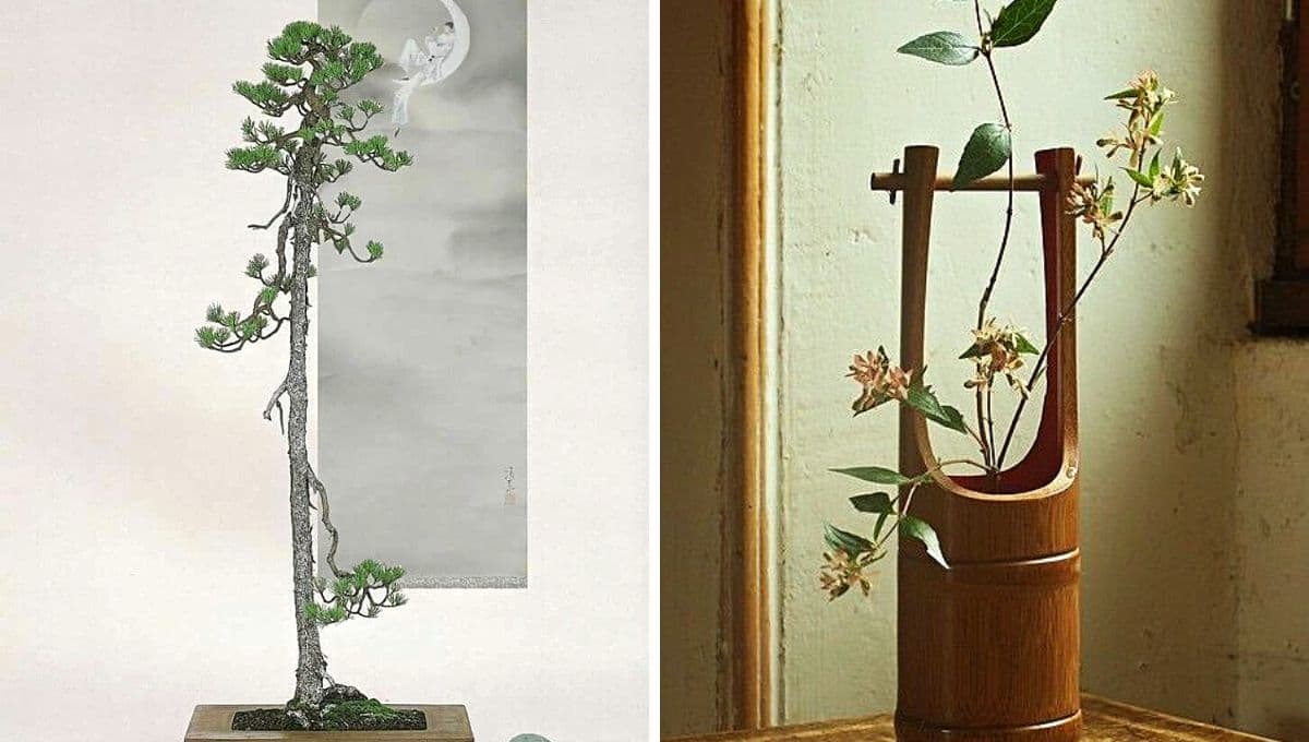 5 plantas para decorar una casa minimalista al estilo Japonés