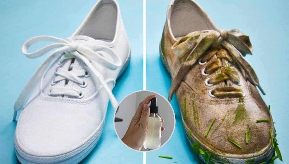 ¿Cómo blanquear los tenis con vinagre?