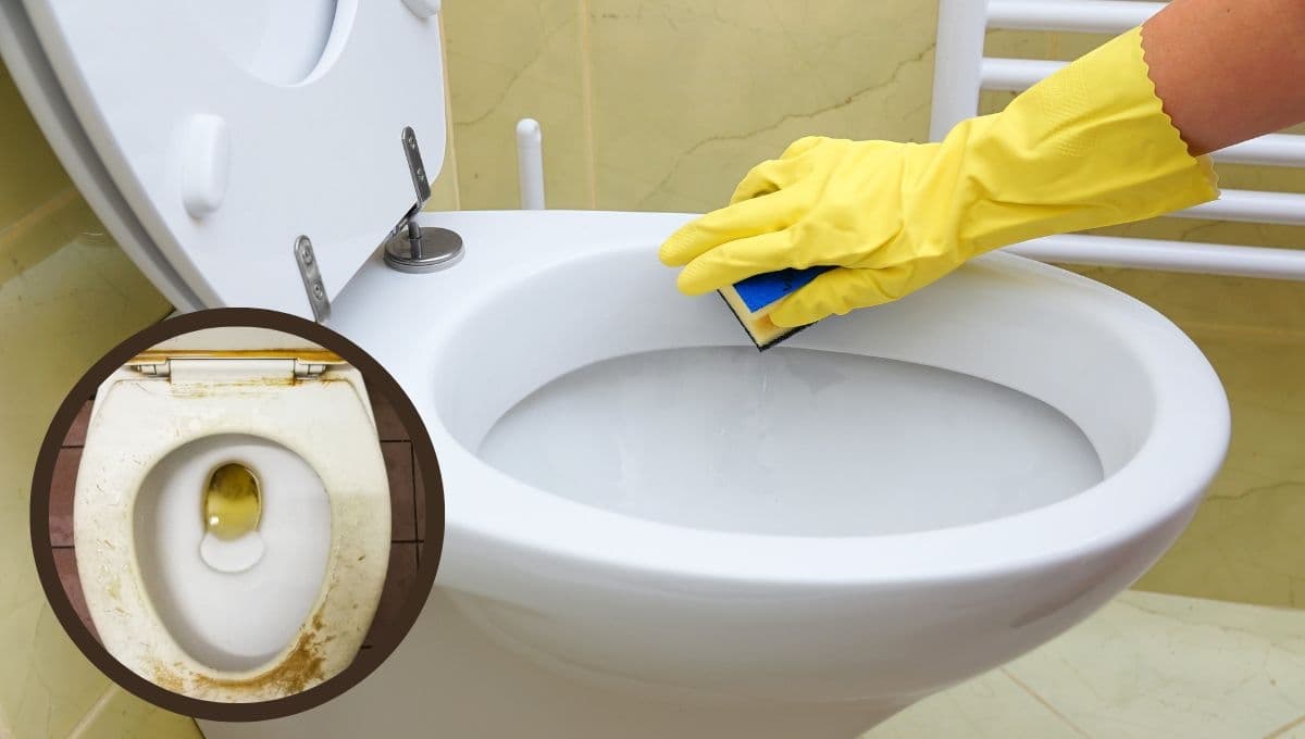 ¿Cómo limpiar un retrete muy sucio?