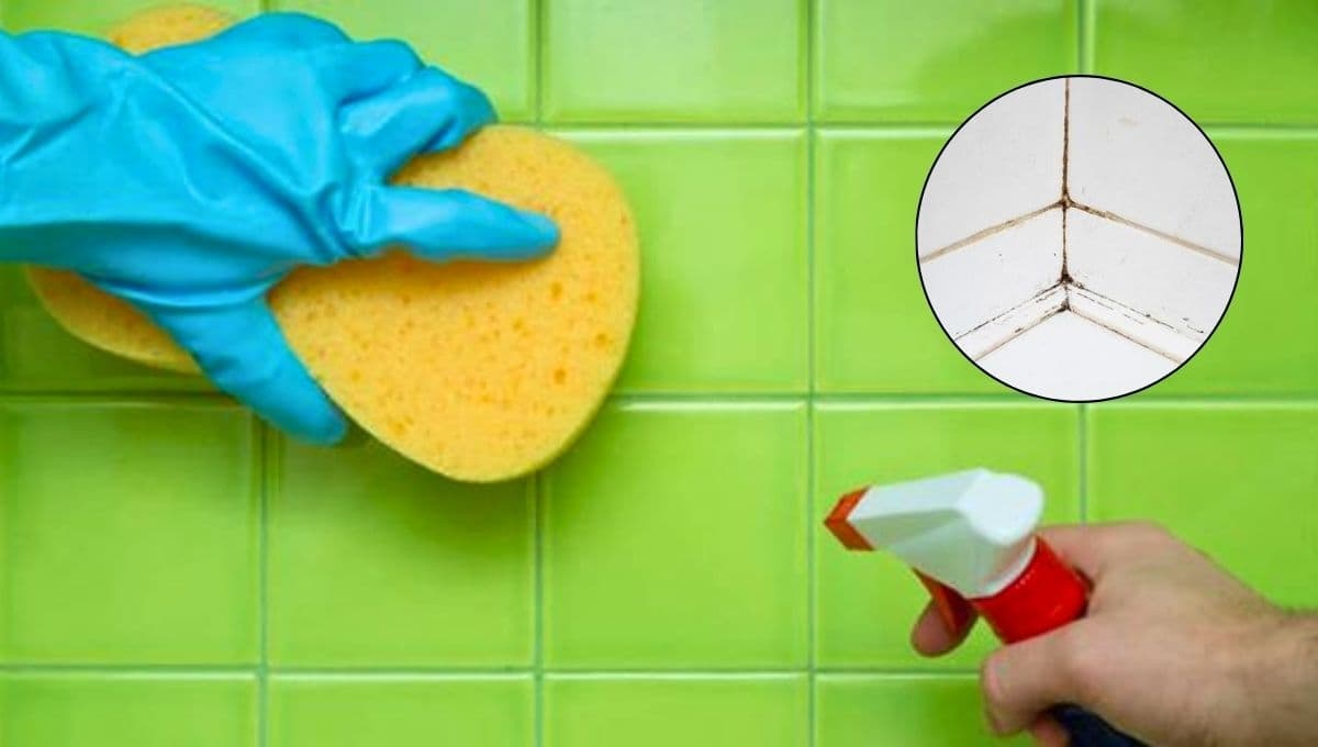 ¿Cómo limpiar azulejos del baño con mucho sarro?