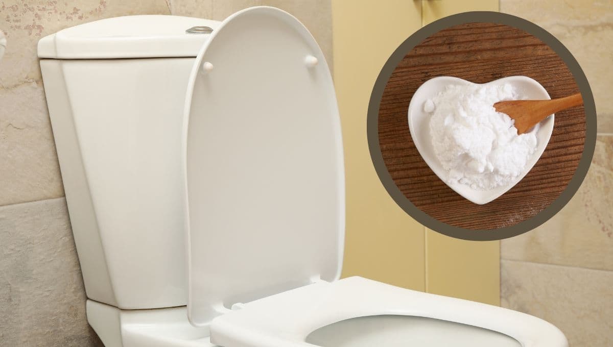 ¿Cómo limpiar la taza del baño con bicarbonato?