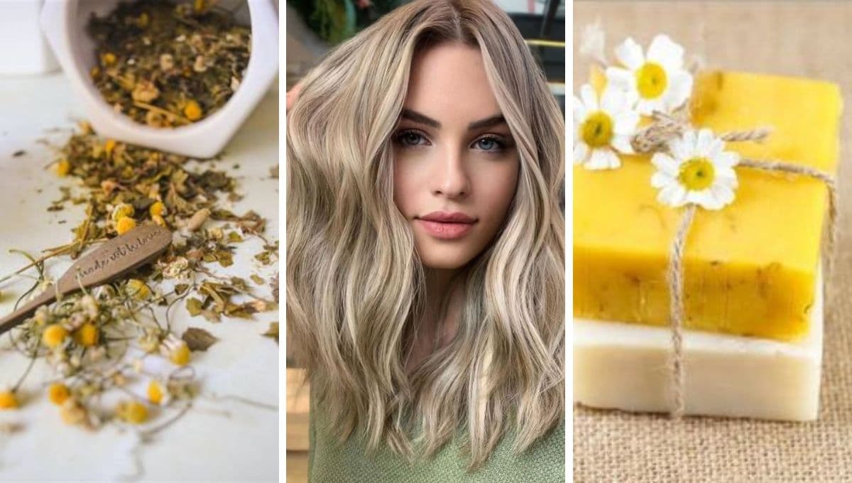 ¿Cómo hacer shampoo casero de manzanilla para aclarar el cabello?